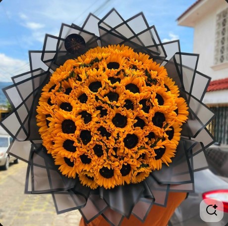 sunny blooms